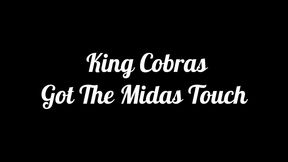 king cobras got the midas touch: thick snowbunny marilyn midas gets her ass stretched by the cobra