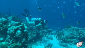 Alone Time in Bonaire