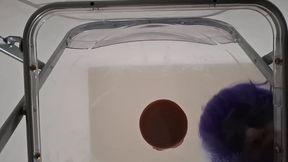 full version: pov dirty talk fat ass femboy raven facesitting and anal creampie after riding dildo through transparent chair