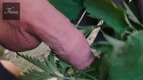 Fun mit Brennessel - Fun with stinning nettles