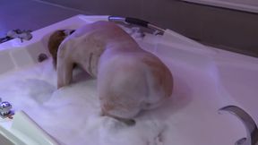 Before enjoying my boss's huge cock, I go to the motel's jacuzzi and start to get aroused.