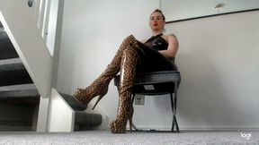 Edge and pay your tax loser (AVI)