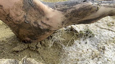 A day in the life of my Feet