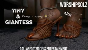 Aunty Sunny the Giantess catches tiny spy as she finds and outfit