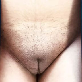 Desi Indian hairy pussy