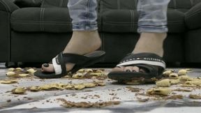 It's a hard crush video with no mercy for the gummy bears MP4 FULL HD 1080p