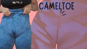 camelto leggings