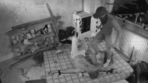 Youre Mine Now Gay Porn Videos