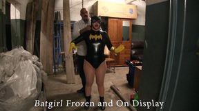 Batgirl Frozen solid and on display 12