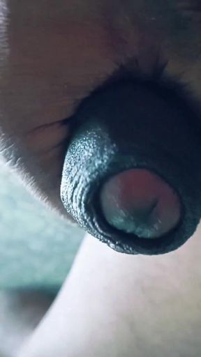 Desi gay daddy horny