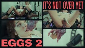 EGGS 2 – it’s not over yet