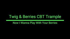 Now I Want To Play With Your Berries