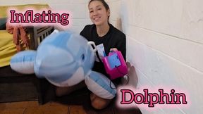 Inflating Dolphin