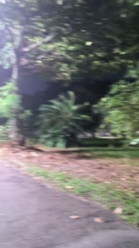 WALKING NAKED ON THE STREET