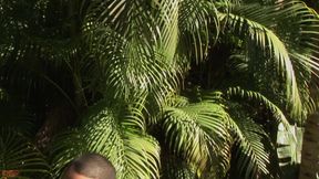 Caramel D - Tropical Jacking