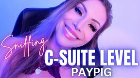 Sniffing C-Suite Level PayPig
