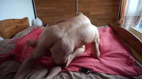 Selena&#039;s Lovely Bed Games