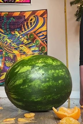 67 Giantess Size 16 Slo-mo Feet Crush Slow Motion Oranges &amp; Watermelon Destruction