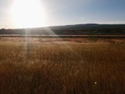 Security guard in free field  talks to his girlfriend until they both masturbate - horny a