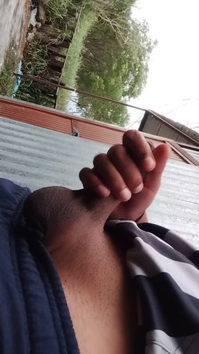 Cum Street Milking Day