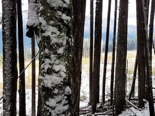 Nerdy Faery's Rear View Snowy Urinate