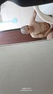 2026-08-26T09 Male Masturbation