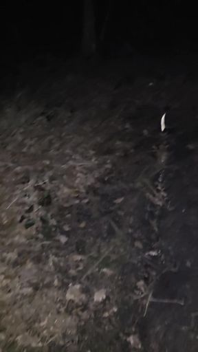 Another night time walk in the woods in a white bodystocking with pink surprise public