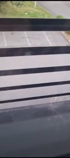 I meet a hot girl at the tax office who sucks me part1