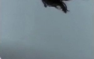 Siren-thorn-inked-asian-goddess-your-only-choice-consumption 720p