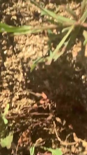 Emotional moment from "Stacked Babe Kesha Ortega Gets Nasty In A Wild Outdoor Masturbation!"