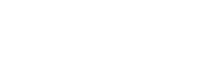 Swingers' Club vol.40