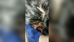 My sister-in-law gives me a good blowjob