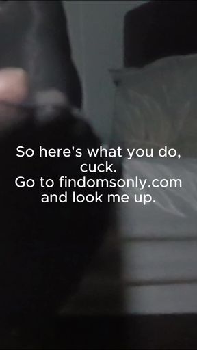 cuck treasure hunt.