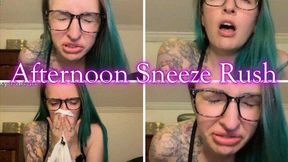 Afternoon Sneeze Rush *wmv*