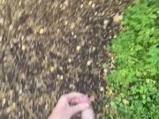 Jerking my dick in public flash