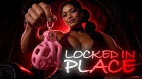Locked In Place