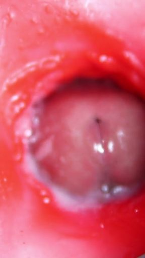 Camera inside the pussy! The wettest and tastiest hole with a big dick inside!   Clip 1