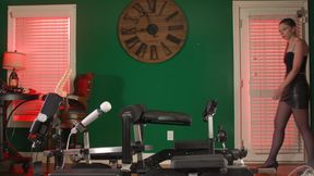 Anal Penalty Buck for Alice Maze