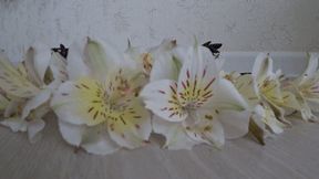 Crushed the flowers with summer flip flops cc