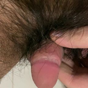 When my pubic hair longer than my small asian penis