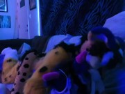 Cumming in the Little Wolf Twice