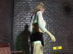 Mature Caughts Girls Scene 3: Busty Blonde MILF in Lingerie Ends up with Her Face Cummed on in a Car