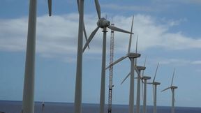 Naomi and Nico outdoor heolienne