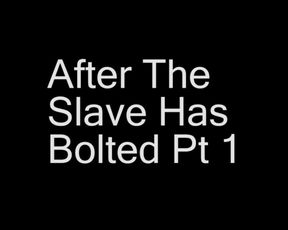 After the slave has bolted Pt 1