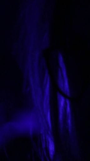 Candice-b Video Release Stasyq 158