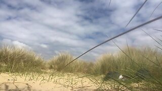 Twink back to nature