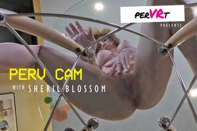 Perv Cam - Extreme POV
