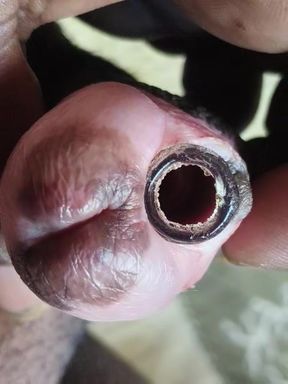 Cock inserting my pipe