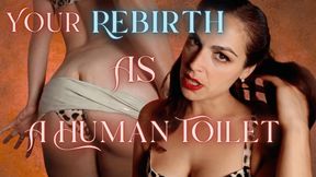 Your Rebirth As A Human Toilet 🚽❤️‍🔥