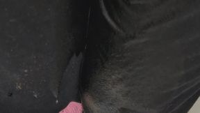 Peeing my Baggy Black Sweatpants for Funsies